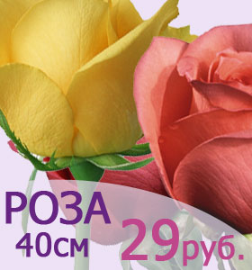 Роза 40см - 29 руб